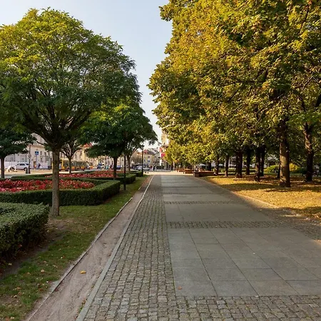 Royal Route For 10 People * Warsaw